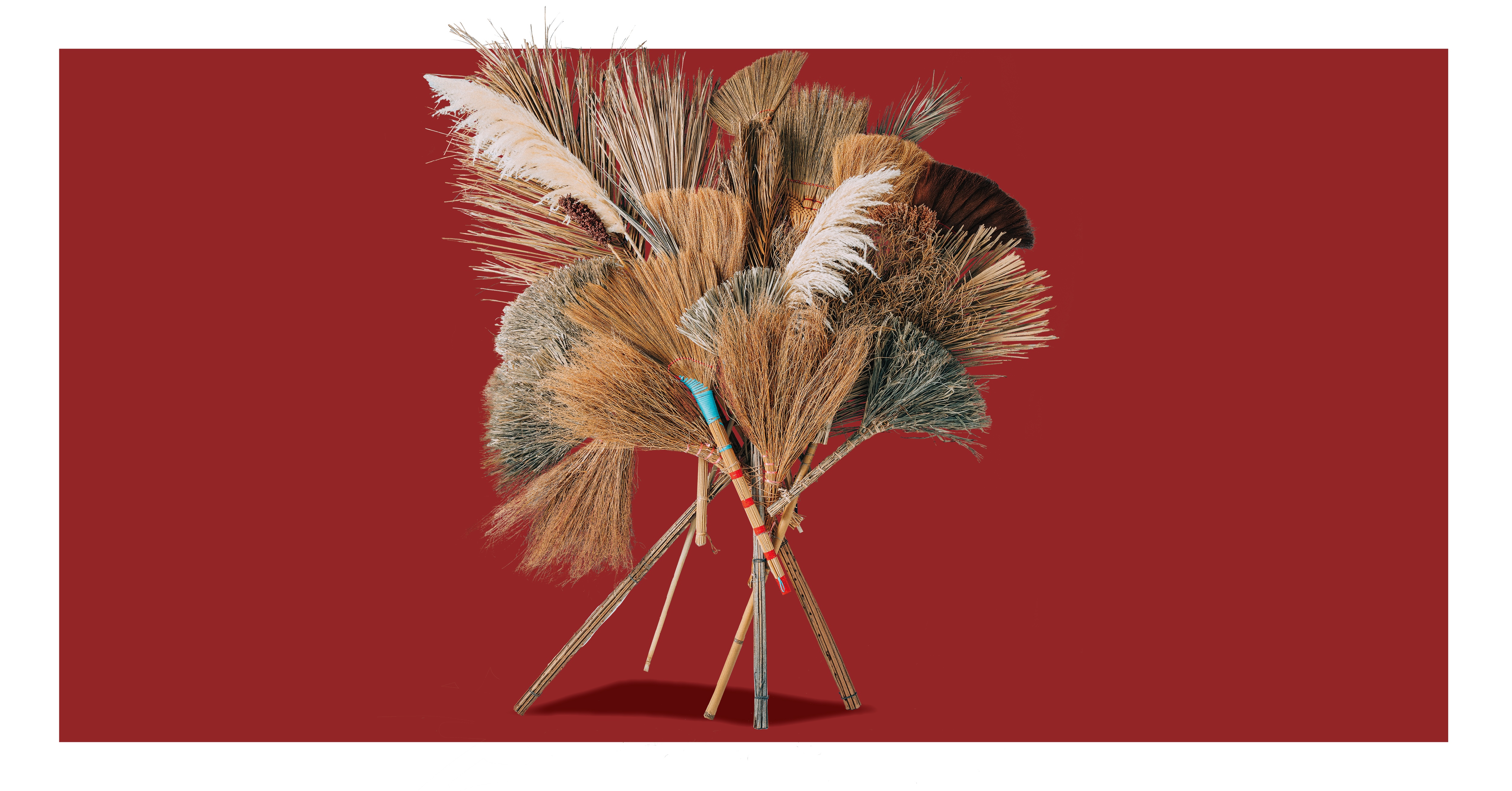 臺灣掃帚主視覺