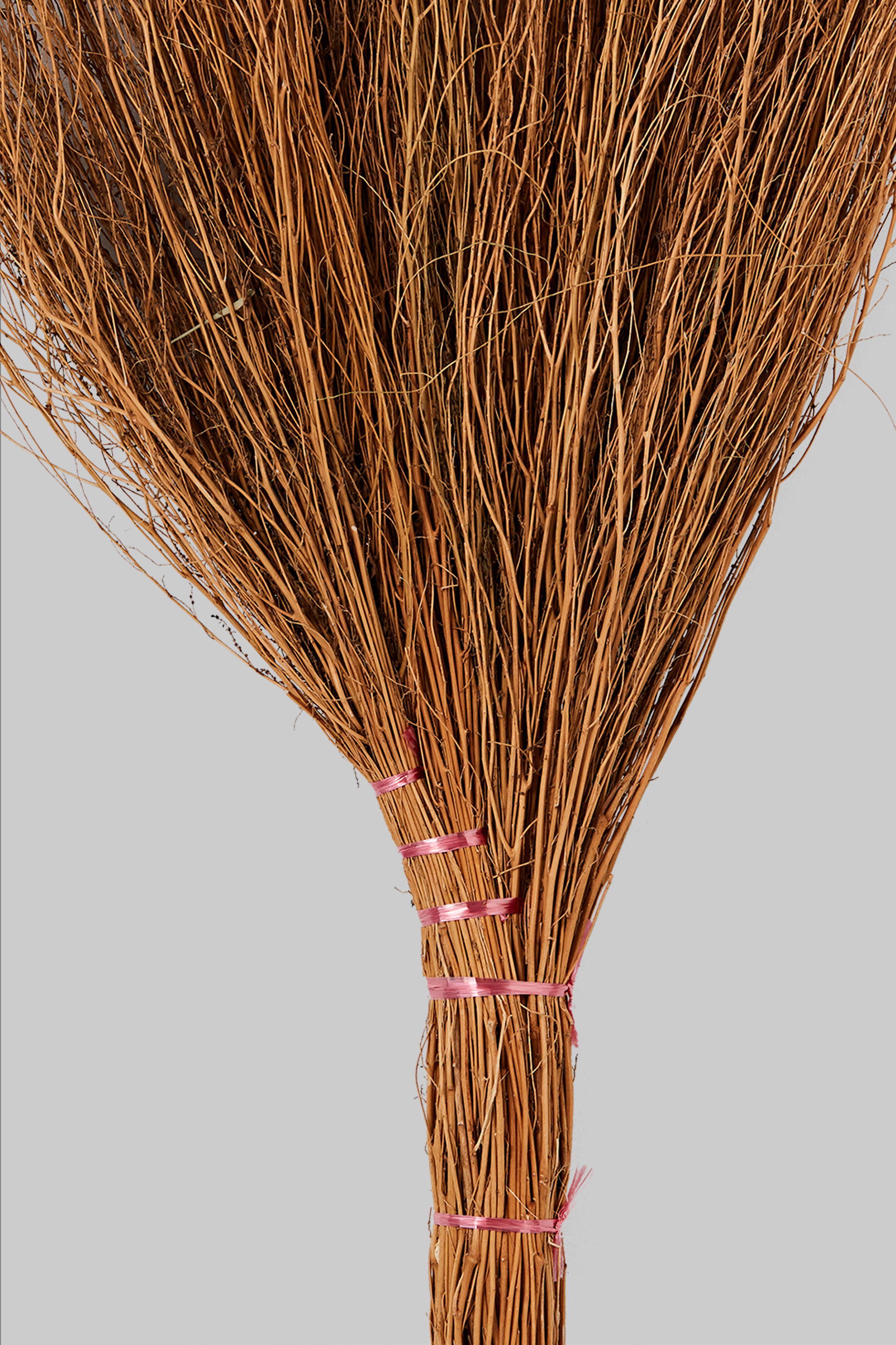 地膚草掃帚細部