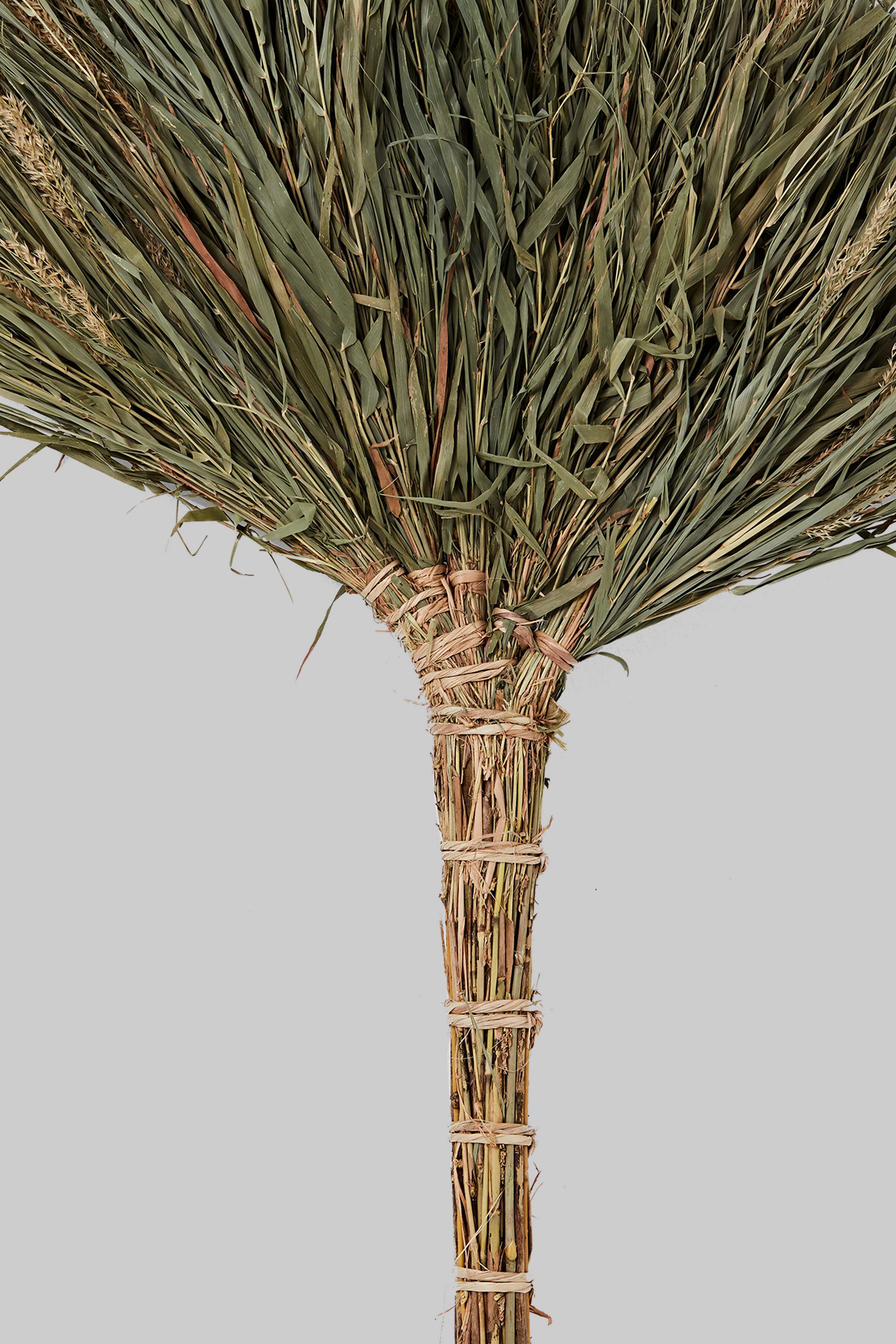 蘆竹掃帚細部