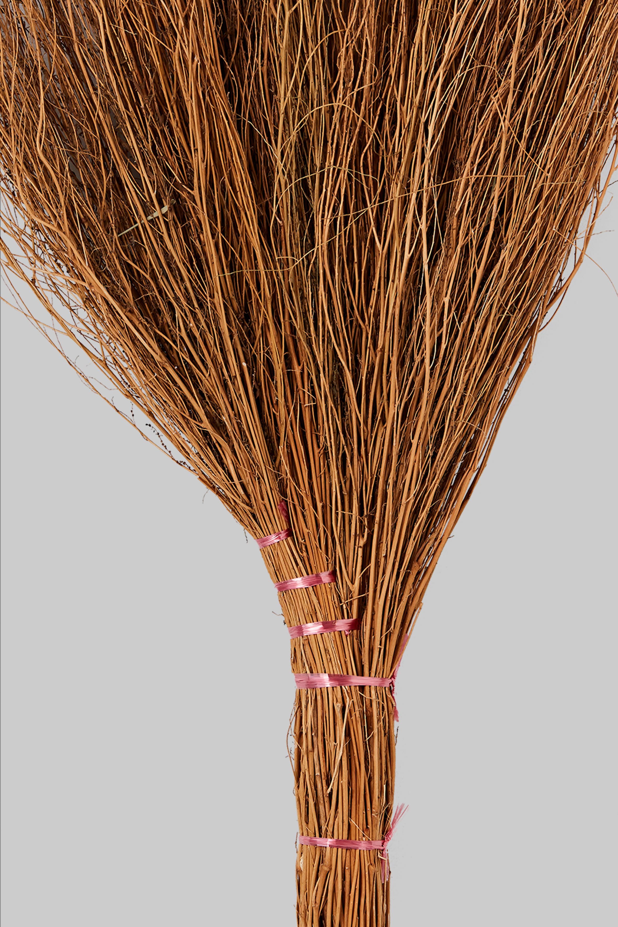 地膚草掃帚細部