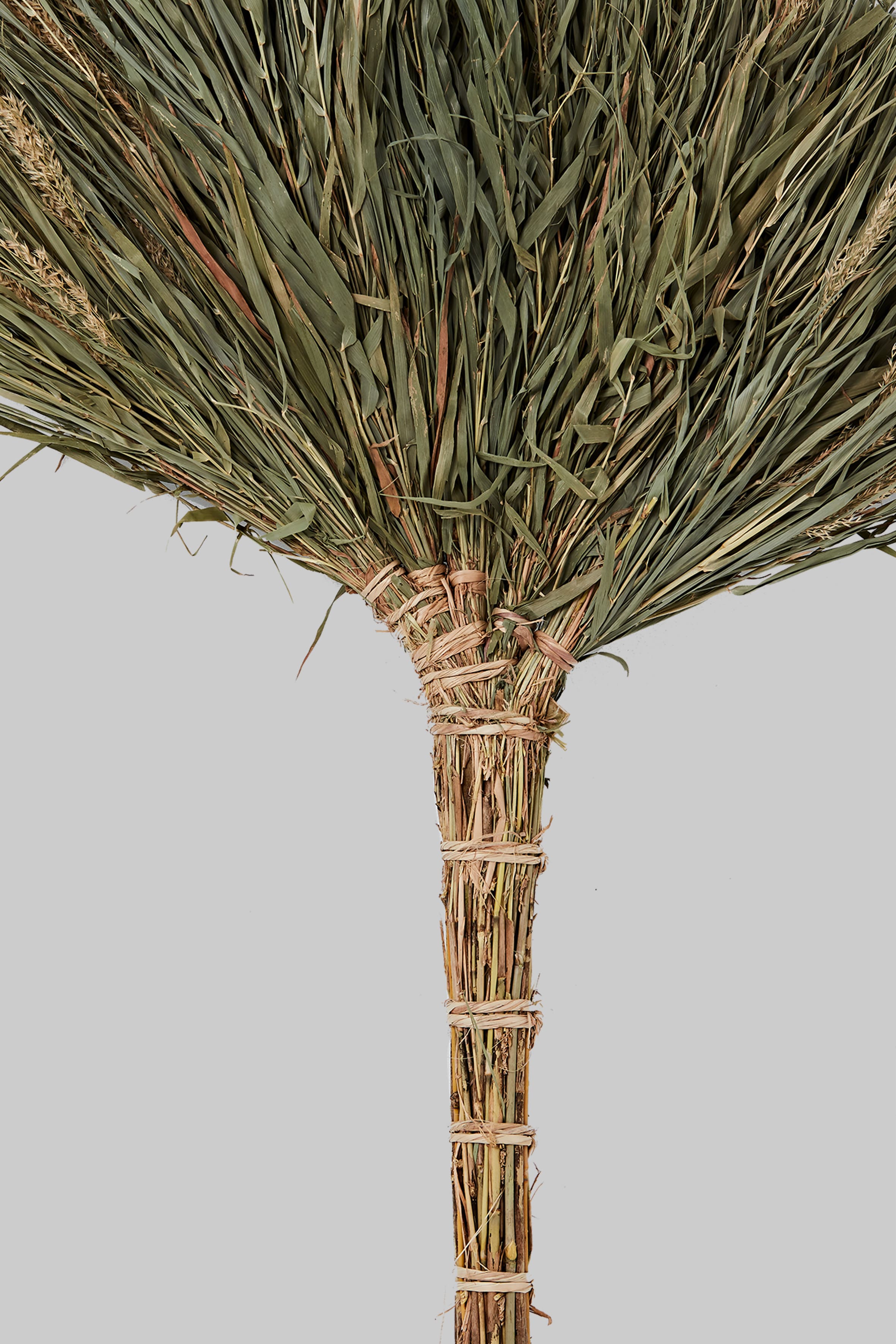 蘆竹掃帚細部