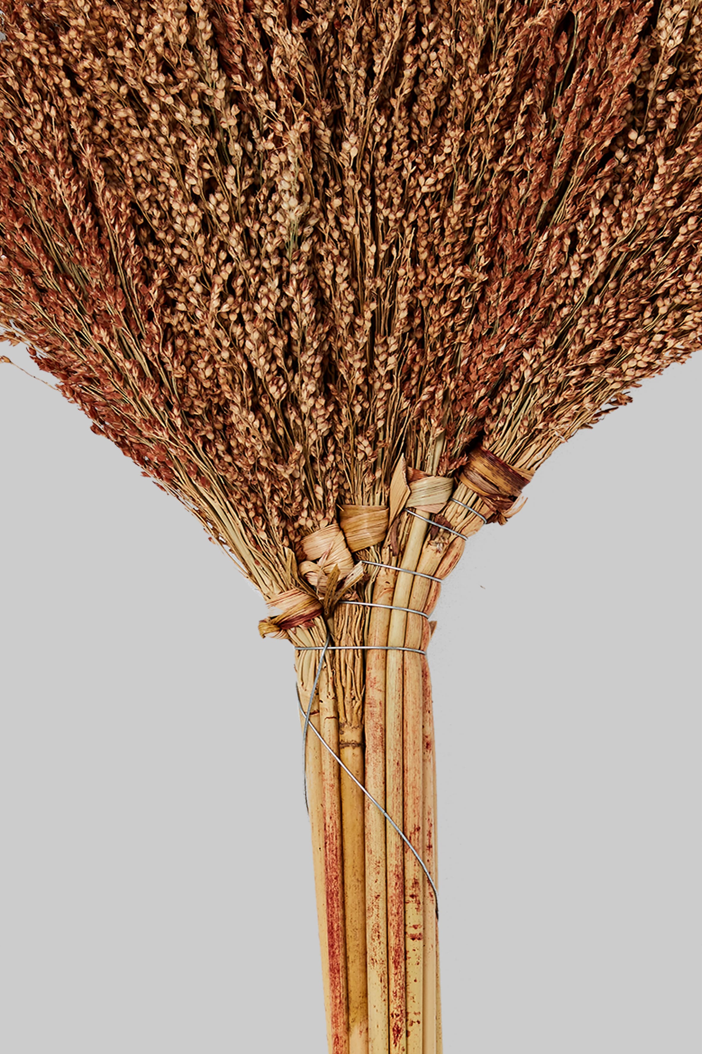 高粱掃帚細部